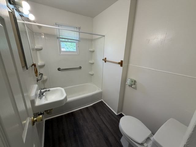 Gallery Photo 26